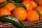 marokkanische-clementinen